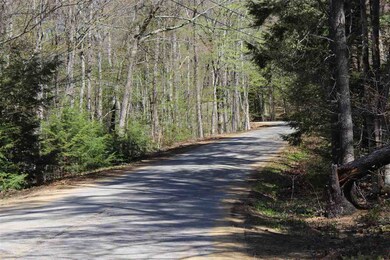 70 Evergreen Dr unit 18, New Hampton, NH 03256 - photo 5