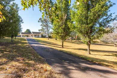 8621 Byhalia Rd, Olive Branch, MS 38654 - photo 2