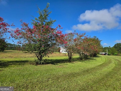 1533 Gw Oliver Rd, Statesboro, GA 30458 - photo 7