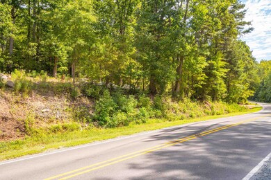 0 Moore Mountain Rd unit 2475744, Baldwin, NC 27312 - photo 6