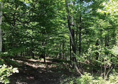 49 Hill Top Dr, Honesdale, PA 18431 - photo 2