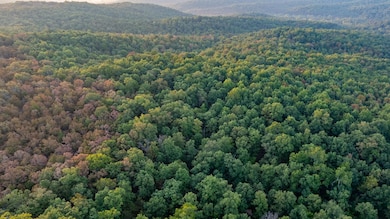 0 Annapolis Rd unit 24777060, Annapolis, MO 63620 - photo 6