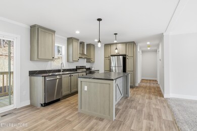 360 Tanasi Dr, Newport, TN 37821 - photo 6