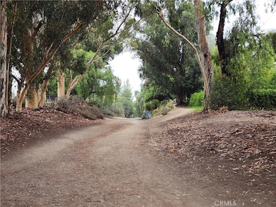 A part of the nearby trail