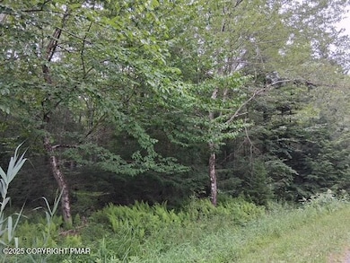 18 Robyn Ln, Pocono Lake, PA 18347 - photo 2