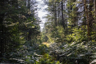 N9895 Krause Rd, Engadine, MI 49827 - photo 3