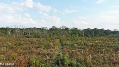 0 Grandview Ln SE, Bogue Chitto, MS 39629 - photo 5