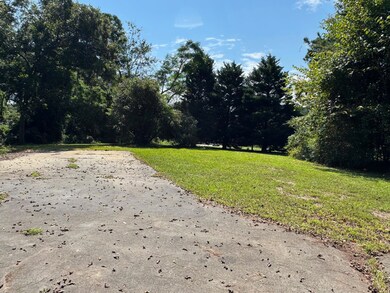 3437 Ray Owens Rd, Appling, GA 30802 - photo 4