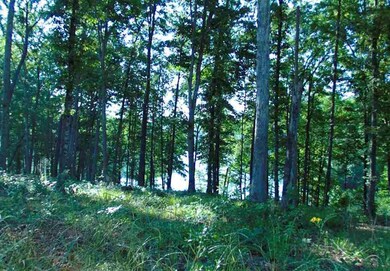 Lot 16 Little Keowee Bay, West Union, SC 29696 - photo 6