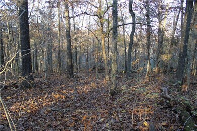 0 Carew Dr unit 1133051, Bella Vista, AR 72714 - photo 4