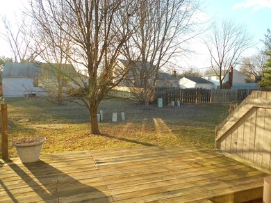 back yard 2