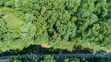 0 Tom Kat Trail unit 10564667, Lavonia, GA 30553 - photo 4