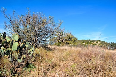 000 W Live Oak St unit 3, Fredericksburg, TX 78624 - photo 3