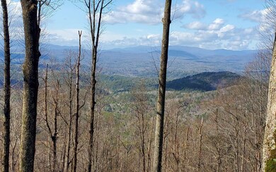 Additional View