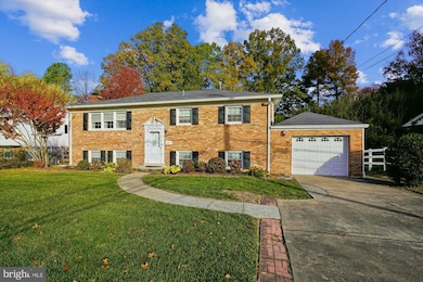 4300 Fielding St, Alexandria, VA 22309 - photo 4