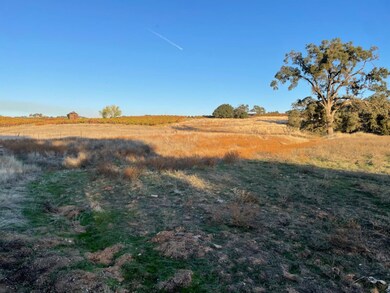 0 White Oak Rd, Plymouth, CA 95669 - photo 4