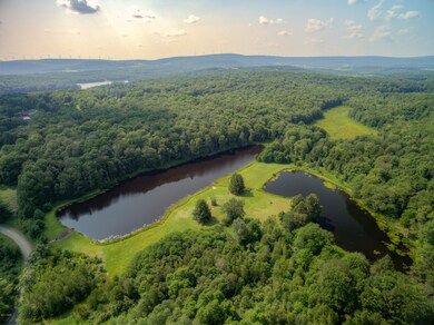 0 Savage Rd, Canaan Township, PA 18472 - photo 5