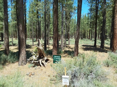 202 Village Trail unit Roark Lot 036, Portola, CA 96122 - photo 7