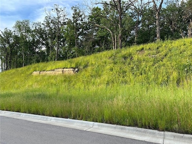 XXX Meadow Crossing Rd SW, Rochester, MN 55902 - photo 4