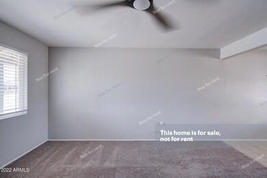 8237 N 8th Place, Phoenix, AZ 85020 - photo 5