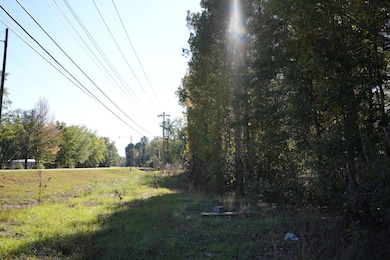TBD Mississippi 15, Mathiston, MS 39752 - photo 6