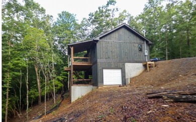 Additional View