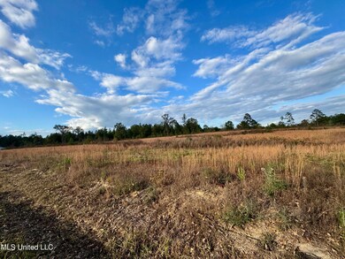 Nhn Matthew Johnson Rd, Wiggins, MS 39577 - photo 3