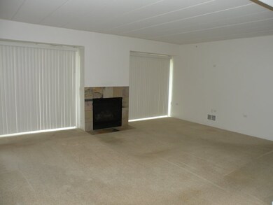 14130 Sheffield Dr unit 101, Homer Glen, IL 60491 - photo 4
