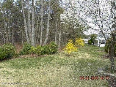 Shelter of trees in the rear