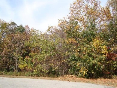 Curb View as Fall approaches.