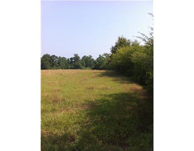 0 Hwy 424 Hwy, Franklinton, LA 70438 - photo 3