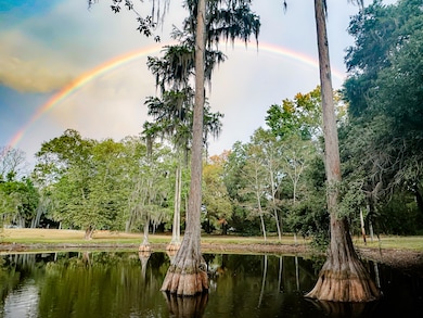 4446 Char-Augusta Rd, Bamberg, SC 29003 - photo 5