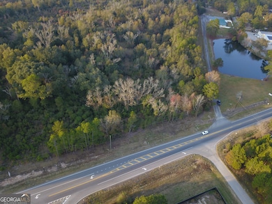 0 N Highway 301 unit 10439137, Statesboro, GA 30461 - photo 4