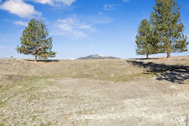 535 Sadie Way, Victor, MT 59875 - photo 3