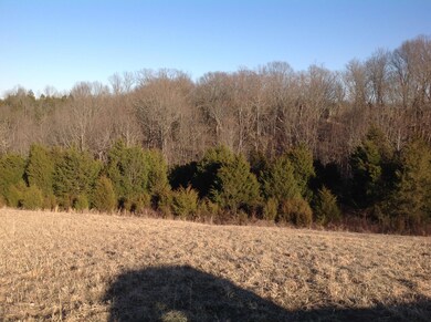 1 Timber Creek, Lawrenceburg, KY 40342 - photo 7