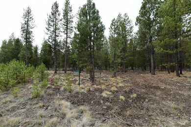56607 Celestial Dr, Bend, OR 97707 - photo 2