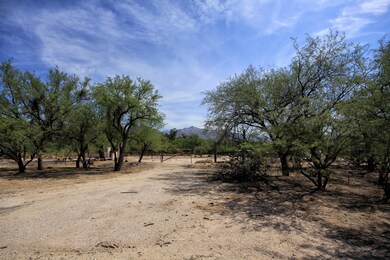 Lot5