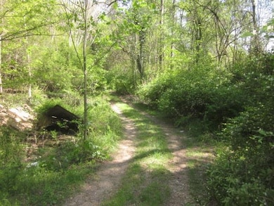 Entrance to the property off Paved State Road Hwy 53 West.