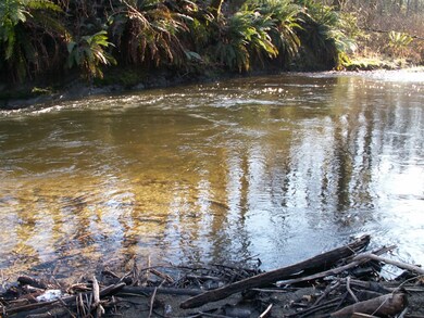 310 157th Ave SE, Kent, WA 98042 - photo 5
