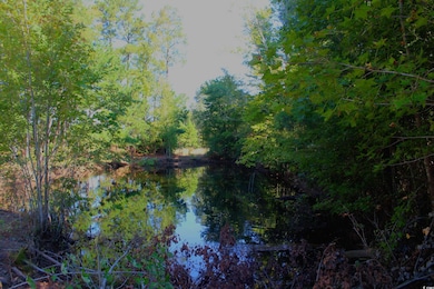 1 TBD Dew RD Dew Rd, Marion, SC 29571 - photo 7