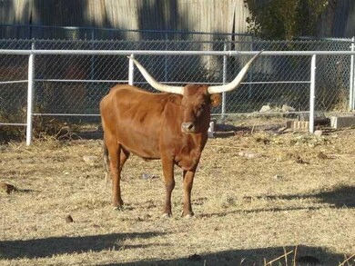 0 Anderson Rd unit 566706, Socorro, TX 79927 - photo 6