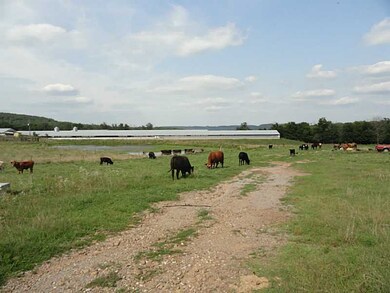 10614 N Whitehouse Rd, Fayetteville, AR 72701 - photo 7