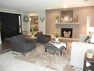 Front door foyer step down into living room area w