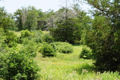View of local wilderness