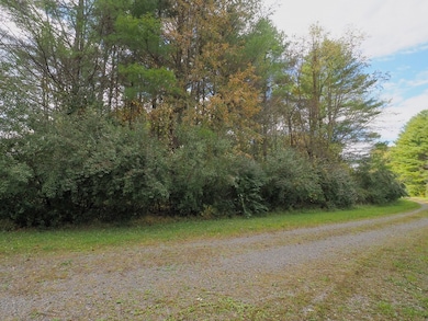 TBD Blue Lake Ln, Laurel Fork, VA 24352 - photo 3