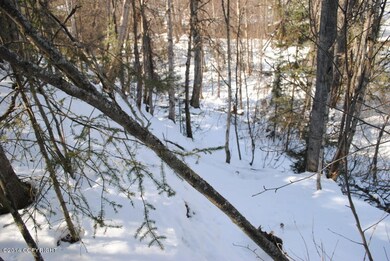Another view of Rabbit Creek and slope