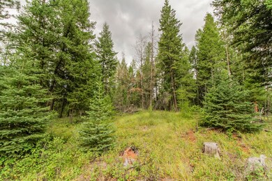 499 Haskill Ranch Rd, Kila, MT 59920 - photo 4