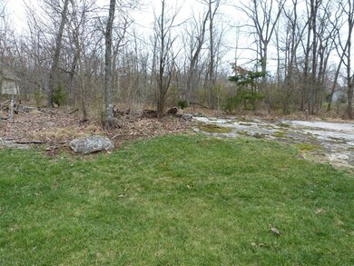 back yard view.JPG