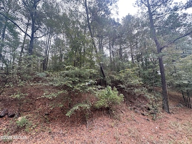 87 Highway 87, Forsyth, GA 31029 - photo 4