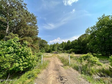 IMG-9420